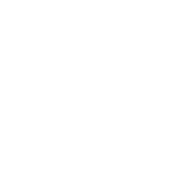 Cameo Logo