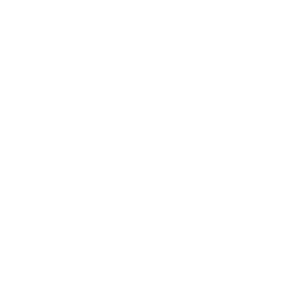 Denon Logo
